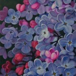 Lilacs